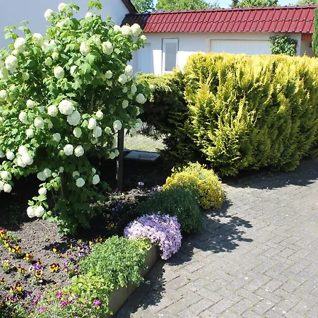 Appartamento Komfortable In Strandnaehe In Rerik, Cleaning Included
